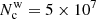 $ N_{\mathrm{c}}^{\mathrm{w}} = 5\times10^7 $