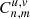 $ C_{n,m}^{u,v} $