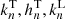 $ k_n^{\rm T},h_n^{\rm T},k_n^{\rm L} $