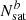 $ {N_{\mathrm{sat}}^{b}} $