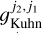 $g_{{\rm{Kuhn}}}^{{j_2},{j_1}}$