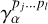$\gamma _\alpha ^{{p_j} \ldots {p_l}}$