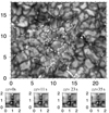 Thumbnail: Fig. 1 Refer to the following caption and surrounding text.