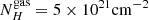 $ N^{\mathrm{gas}}_{H} = 5\times 10^{21} \mathrm{cm}^{-2} $