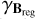 Mathematical equation: ${\gamma _{{{\bf{B}}_{{\rm{reg}}}}}}$