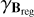 Mathematical equation: ${\gamma _{{{\bf{B}}_{{\rm{reg}}}}}}$