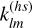 Mathematical equation: $k_{lm}^{\left( {h\,s} \right)}$