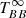 $ {T^\infty_{BB}} $