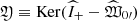$ {\mathfrak{Y}}\equiv\mathrm{Ker}({\widehat{I}}_{+}-\widehat {\mathfrak{W}}_{0\prime}) $