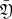$ \bar{\mathfrak{Y}} $