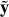 ${{\bf{\tilde y}}}$