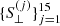 $ \{S_{\perp}^{(j)}\}_{j=1}^{15} $
