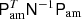 $ \mathsf{P}_\mathrm{am}^T\mathsf{N}^{-1}\mathsf{P}_\mathrm{am} $