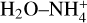 Mathematical equation: ${{\rm{H}}_2}{\rm{O}} - {\rm{NH}}_4^ + $