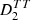 $ D_{2}^{TT} $