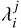 $\lambda _i^j$