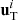 $ {\mathbf{u}}^{i}_{\mathrm{T}} $