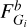 $F_{{G_i}}^b$