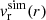 $ v_{\mathrm{r}}^{\mathrm{sim}}(r) $