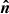 $ \boldsymbol{{\hat{n}}} $