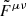 $ \tilde{F}^{\mu \nu} $