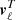 $ \boldsymbol{v}^T_{\ell} $