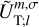 $\tilde U_{{\rm{T;}}l}^{m,\sigma }$
