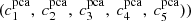 $ (c_1^{\rm pca},\ c_2^{\rm pca},\ c_3^{\rm pca},\ c_4^{\rm pca},\ c_5^{\rm pca})) $