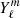 $ {Y^m_\ell} $
