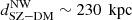$ {d}^{\mathrm{NW}}_{\mathrm{SZ}-\mathrm{DM}} \sim 230\,{\text{ kpc}} $