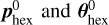 Mathematical equation: $p_{{\rm{hex }}}^0{\rm{ and }}\theta _{{\rm{hex }}}^0{\rm{. }}$