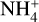$\[\mathrm{NH}_4^{+}\]$