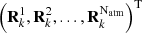 $ \left(\mathbf{R}_k^1, \mathbf{R}_k^2,..., \mathbf{R}_{k}^{\mathrm{N_{atm}}}\right)^\mathrm{T} $