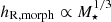 $ h_{\mathrm{R, morph}} \propto M_{\star}^{1/3} $