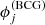 $ \phi^{\mathrm{(BCG)}}_{j} $