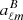 $ a_{\ell m}^{B} $