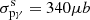 $ \sigma^{\mathrm{s}}_{\mathrm{p\gamma}} = 340 \mu b $