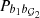 $ P_{b_1b_{{\cal G}_2}} $