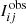 $ I_{ij}^{\mathrm{obs}} $