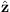 $ \hat{\boldsymbol{z}} $