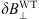 $ \delta \boldsymbol{B}_\perp^{{\rm WT}} $