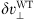 $ \delta \boldsymbol{v}_\perp^{{\rm WT}} $