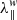 $ \lambda_{\|}^{w} $