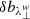 $ \delta b_{\lambda_{\perp}^{w}} $