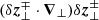 $ (\delta\boldsymbol{z}_{\perp}^{\mp}\cdot\boldsymbol{\nabla}_\perp)\delta\boldsymbol{z}_{\perp}^{\pm} $
