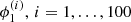 $ \phi_1^{(i)},\, i=1,\dots,100 $