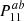 $ P_{11}^{ab} $