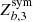 $ Z_{b,3}^{\mathrm{sym}} $