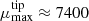 $ \mu_{\mathrm{max}}^{\mathrm{tip}}\approx 7400 $