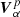 $ {\boldsymbol{V}^{p}_{\alpha}} $
